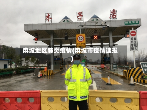 麻城地区肺炎疫情(麻城市疫情速报)-第1张图片