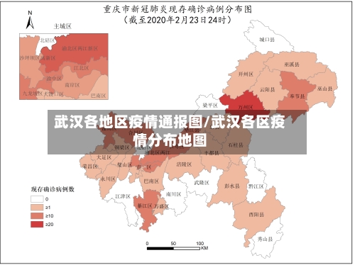 武汉各地区疫情通报图/武汉各区疫情分布地图-第1张图片