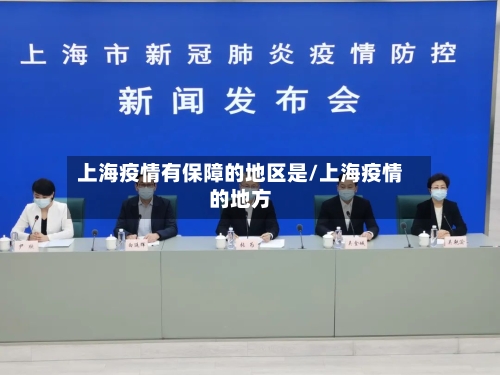 上海疫情有保障的地区是/上海疫情的地方-第1张图片