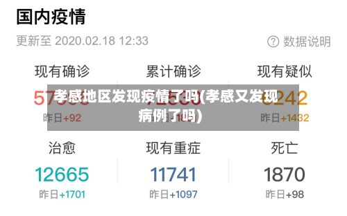 孝感地区发现疫情了吗(孝感又发现病例了吗)-第2张图片