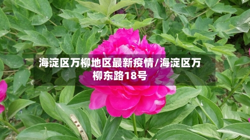 海淀区万柳地区最新疫情/海淀区万柳东路18号-第1张图片