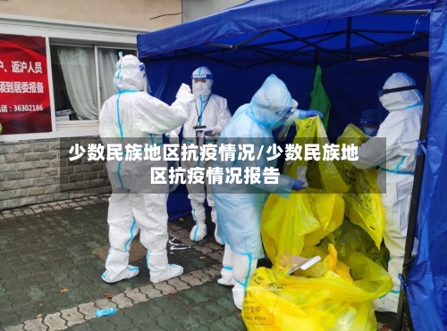 少数民族地区抗疫情况/少数民族地区抗疫情况报告-第2张图片