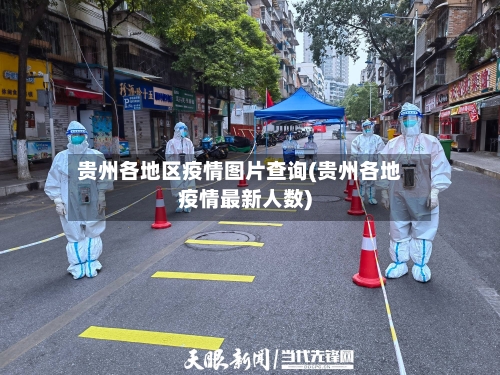 贵州各地区疫情图片查询(贵州各地疫情最新人数)-第3张图片