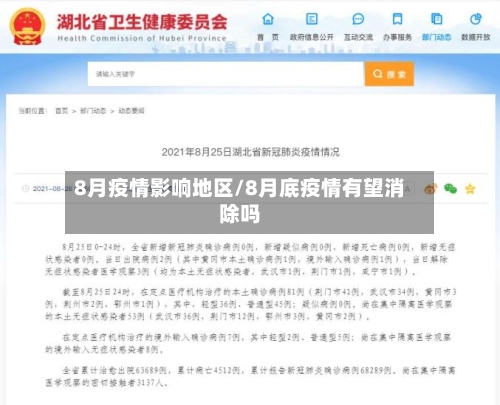 8月疫情影响地区/8月底疫情有望消除吗-第3张图片