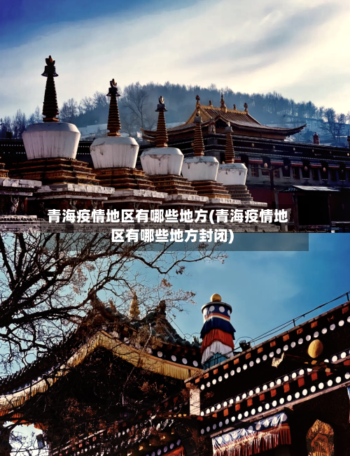 青海疫情地区有哪些地方(青海疫情地区有哪些地方封闭)-第3张图片