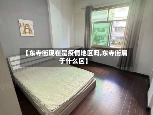 【东寺街现在是疫情地区吗,东寺街属于什么区】-第1张图片