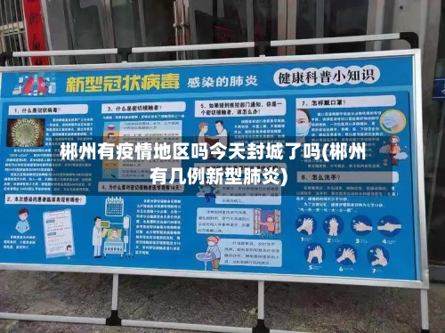 郴州有疫情地区吗今天封城了吗(郴州有几例新型肺炎)-第2张图片