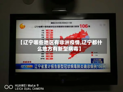 【辽宁哪些地区有非洲疫情,辽宁都什么地方有新型病毒】-第2张图片