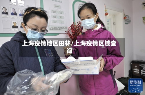 上海疫情地区田林/上海疫情区域查询-第2张图片