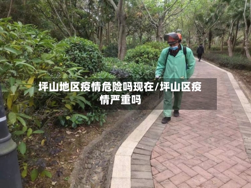 坪山地区疫情危险吗现在/坪山区疫情严重吗-第1张图片
