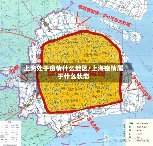 上海处于疫情什么地区/上海疫情属于什么状态-第2张图片