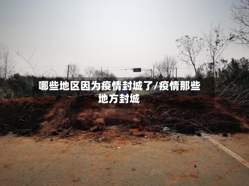 哪些地区因为疫情封城了/疫情那些地方封城-第2张图片