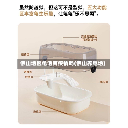 佛山地区龟池有疫情吗(佛山养龟场)-第2张图片