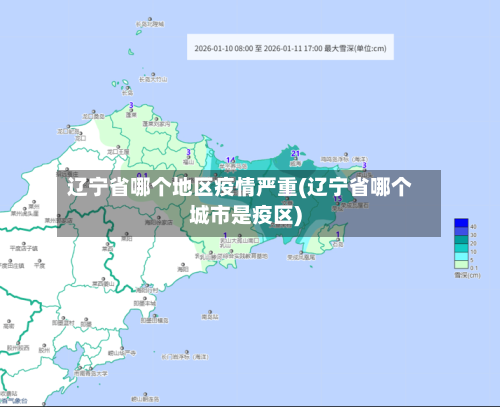 辽宁省哪个地区疫情严重(辽宁省哪个城市是疫区)-第1张图片