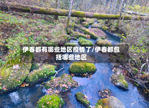 伊春都有哪些地区疫情了/伊春都包括哪些地区-第1张图片