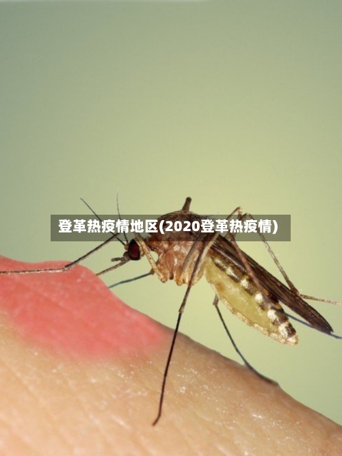 登革热疫情地区(2020登革热疫情)-第1张图片