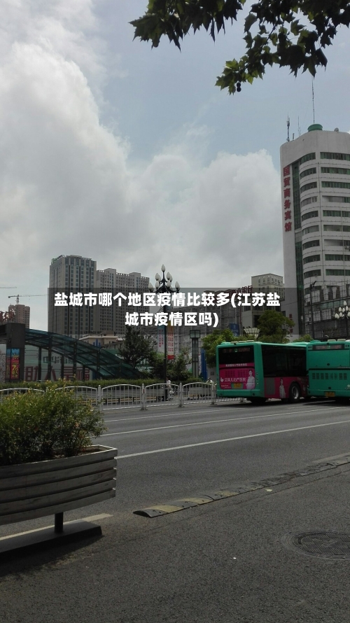 盐城市哪个地区疫情比较多(江苏盐城市疫情区吗)-第3张图片