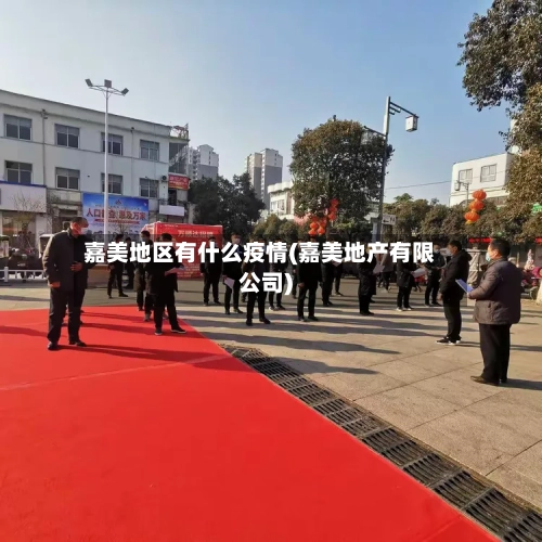 嘉美地区有什么疫情(嘉美地产有限公司)-第3张图片