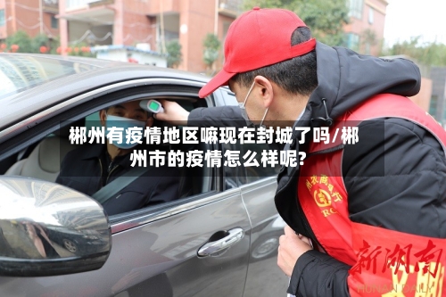郴州有疫情地区嘛现在封城了吗/郴州市的疫情怎么样呢?-第2张图片