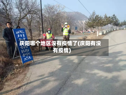 庆阳哪个地区没有疫情了(庆阳有没有疫情)-第2张图片