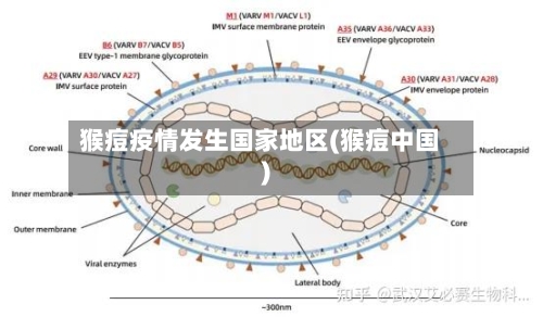 猴痘疫情发生国家地区(猴痘中国)-第1张图片