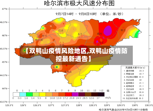【双鸭山疫情风险地区,双鸭山疫情防控最新通告】-第2张图片