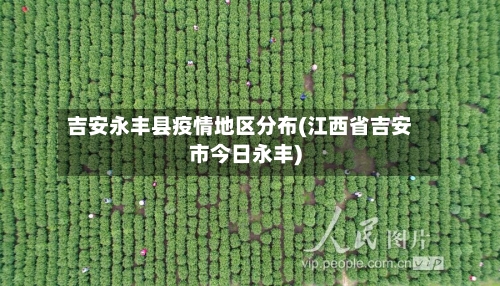 吉安永丰县疫情地区分布(江西省吉安市今日永丰)-第2张图片