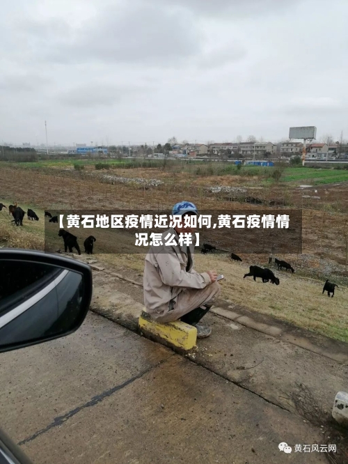 【黄石地区疫情近况如何,黄石疫情情况怎么样】-第1张图片