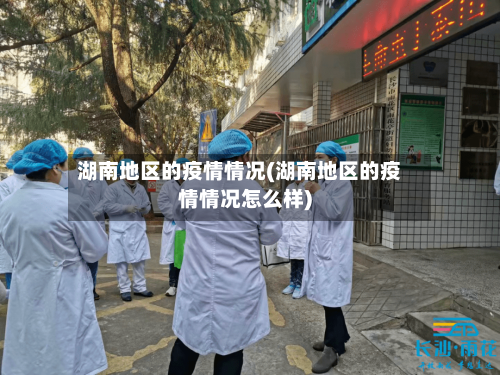 湖南地区的疫情情况(湖南地区的疫情情况怎么样)-第2张图片