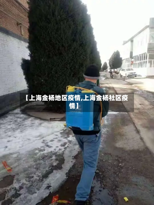 【上海金杨地区疫情,上海金杨社区疫情】-第1张图片