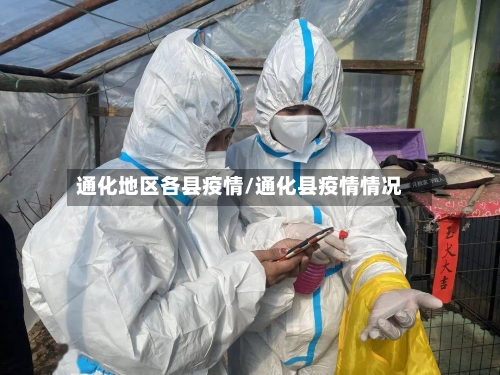 通化地区各县疫情/通化县疫情情况-第3张图片