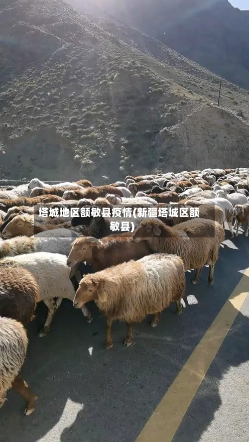 塔城地区额敏县疫情(新疆塔城区额敏县)-第1张图片