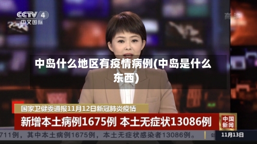 中岛什么地区有疫情病例(中岛是什么东西)-第2张图片