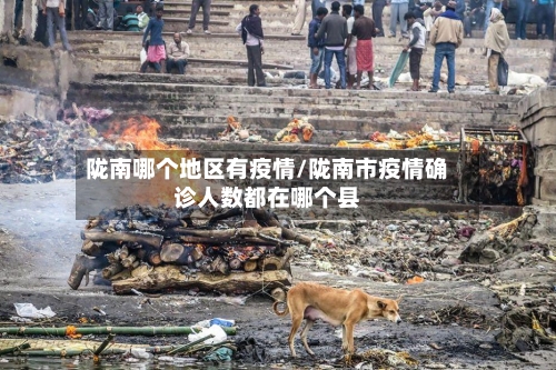 陇南哪个地区有疫情/陇南市疫情确诊人数都在哪个县-第2张图片