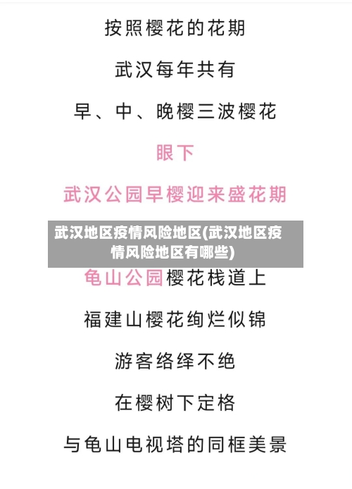 武汉地区疫情风险地区(武汉地区疫情风险地区有哪些)-第1张图片