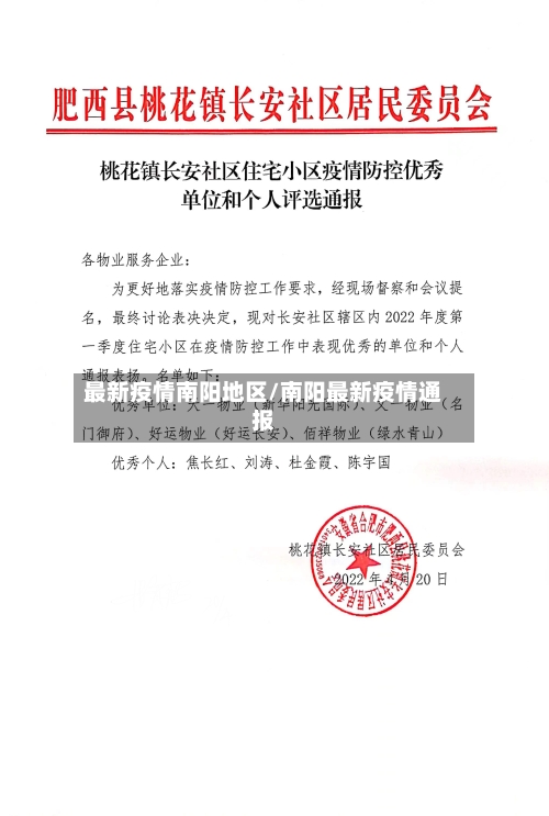 最新疫情南阳地区/南阳最新疫情通报-第1张图片