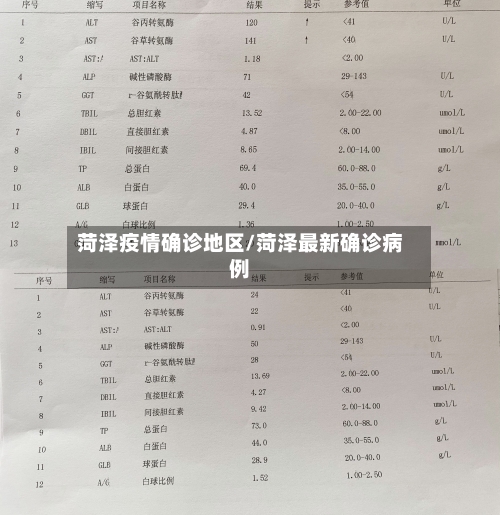 菏泽疫情确诊地区/菏泽最新确诊病例-第2张图片