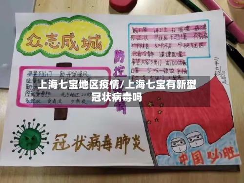 上海七宝地区疫情/上海七宝有新型冠状病毒吗-第3张图片