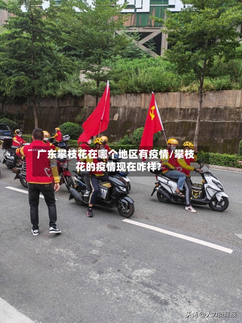 广东攀枝花在哪个地区有疫情/攀枝花的疫情现在咋样?-第2张图片