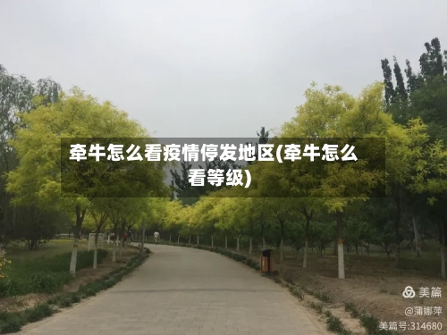 牵牛怎么看疫情停发地区(牵牛怎么看等级)-第1张图片