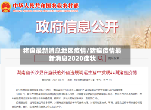 猪瘟最新消息地区疫情/猪瘟疫情最新消息2020症状-第2张图片