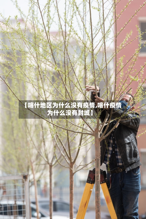 【喀什地区为什么没有疫情,喀什疫情为什么没有封城】-第1张图片