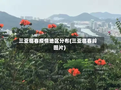 三亚临春疫情地区分布(三亚临春岭图片)-第1张图片
