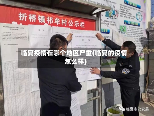临夏疫情在哪个地区严重(临夏的疫情怎么样)-第1张图片
