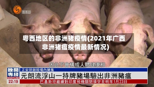 粤西地区的非洲猪疫情(2021年广西非洲猪瘟疫情最新情况)-第2张图片