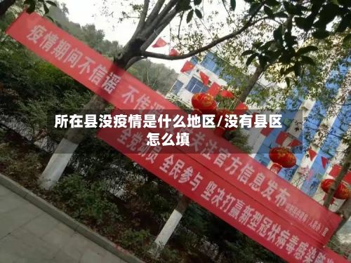 所在县没疫情是什么地区/没有县区怎么填-第1张图片