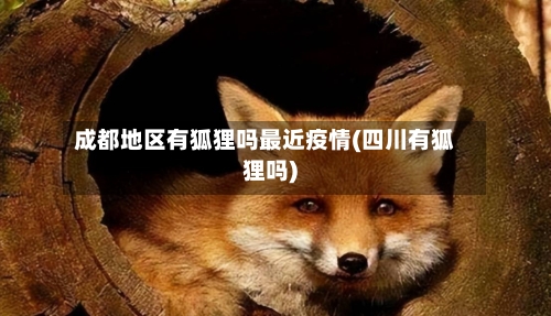 成都地区有狐狸吗最近疫情(四川有狐狸吗)-第1张图片