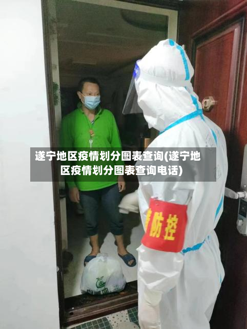 遂宁地区疫情划分图表查询(遂宁地区疫情划分图表查询电话)-第3张图片