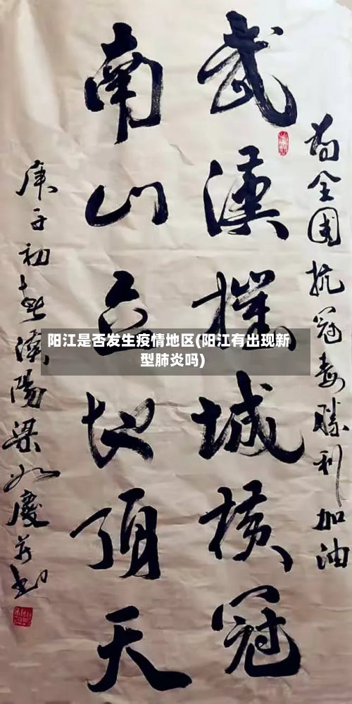 阳江是否发生疫情地区(阳江有出现新型肺炎吗)-第3张图片