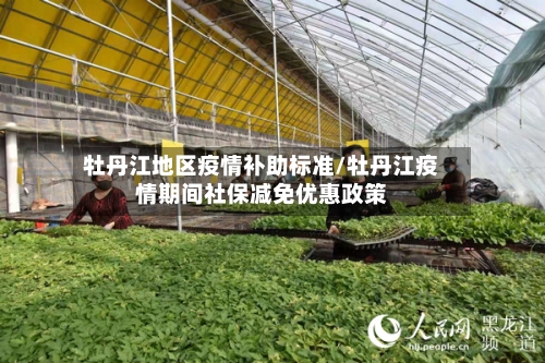 牡丹江地区疫情补助标准/牡丹江疫情期间社保减免优惠政策-第1张图片
